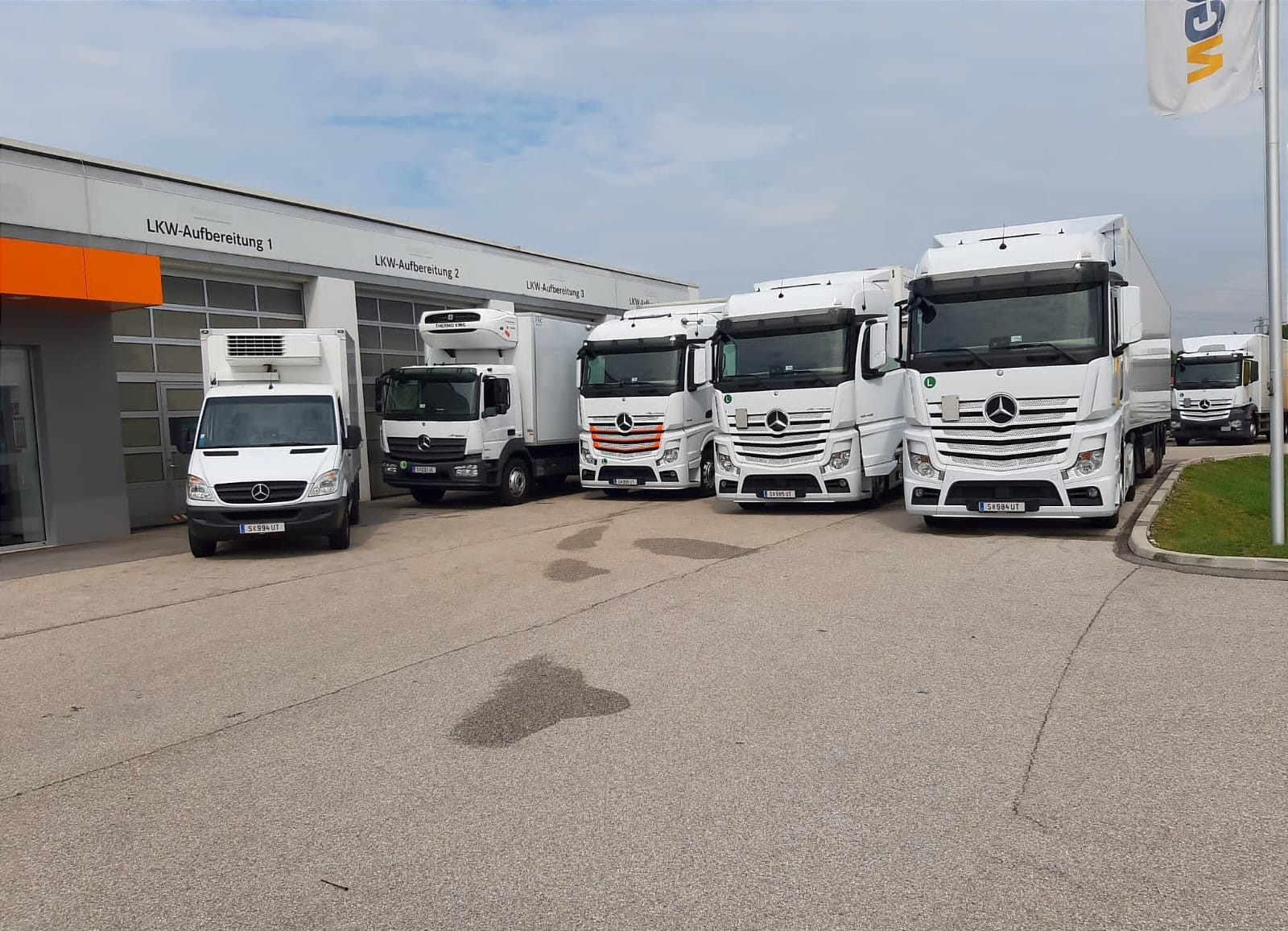 Mehrere LKWs stehen aneinandergereiht da.